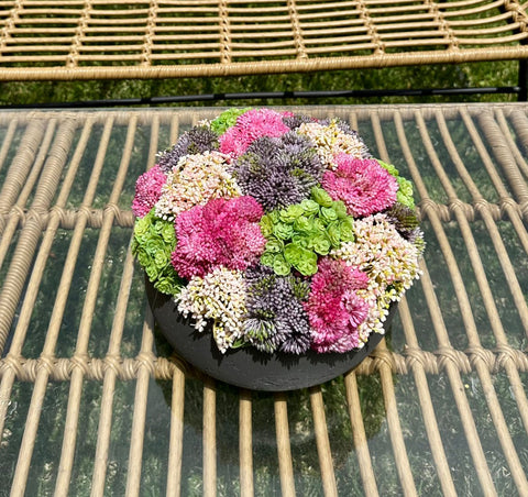 Floral Moss & Sedum Round Planter